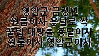 📦 영암군 금정면 원룸이사, 용달로 싹! (꿀팁 대방출) #용달이사 #원룸이사 #영암군이사